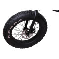 TOP ebike pliant 20 pouces Fat Tire vélo électrique